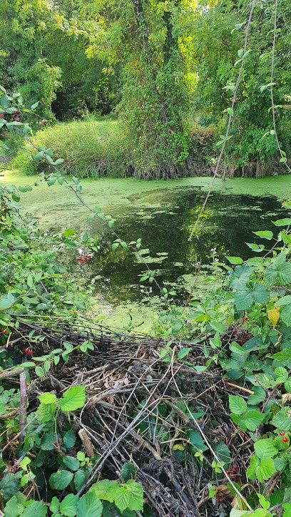 Energéticienne Tillet Alexia Au Clair De Plume, Praticien de Médecine Alternative à Virelade