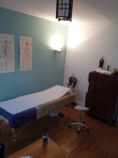 Corinne Ho Ba Dam - Médecine Traditionnelle Chinoise à Annecy, Praticien de Médecine Alternative à Annecy