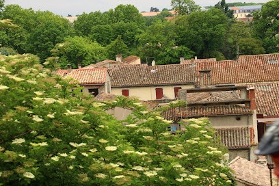 Céline CABRAL - NATUROPATHE, Praticien de Médecine Alternative à Carcassonne