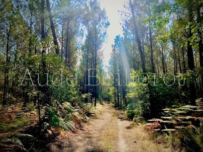 Aude Beillerot - Magnétiseur Energéticienne, Praticien de Médecine Alternative à Liposthey