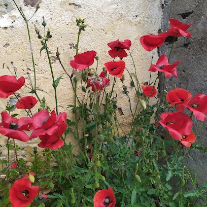 Vitry Delphine Sophrologue Enfants Adolescents à St Germain Troyes Aube, Praticien de Médecine Alternative à Saint-Germain