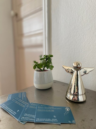 Bodin Elisabeth-Rencontre Du Soi - Energéticienne - Numérologie, Praticien de Médecine Alternative à Angers