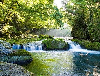 Alcyon 86, Hypnothérapeute à Lavoux