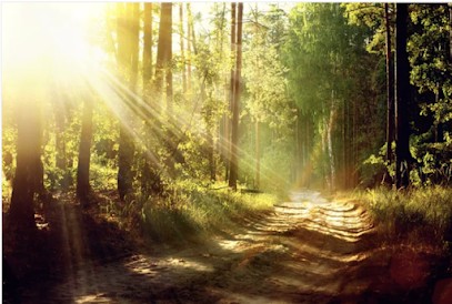 Naturopathe Pierre Fock-chow-tho, Praticien de Médecine Alternative à Puylaroque