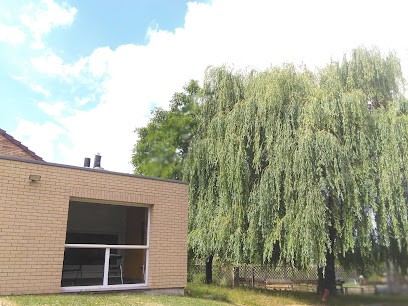 Aymeric Eeckman, Praticien En énergétique Chinoise Et Sophrologie, Lambersart, Praticien de Médecine Alternative à Lambersart