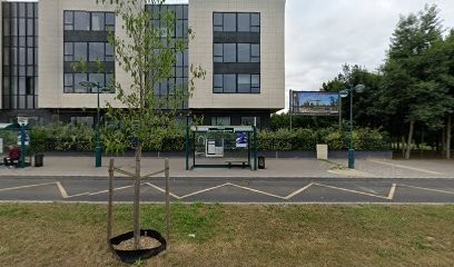 Denise POLIDORI PILLOY Thérapeute Analyste Energéticienne, Praticien de Médecine Alternative à Jossigny