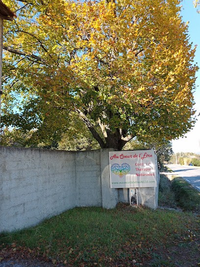 Centre de Thérapie Naturelle Au coeur de l'Être, Praticien de Médecine Alternative à Piégon