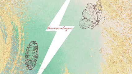 Jessica Bony Kinésiologue Certifiée - Mon Fil Rouge Kinésiologie, Praticien de Médecine Alternative à Liffré