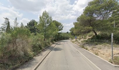 Anne-Sophie MAURY, Praticien de Médecine Alternative à Puyloubier