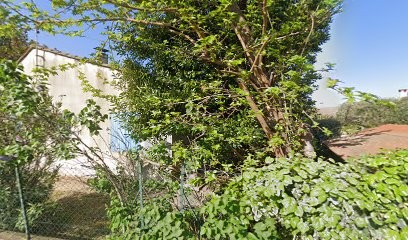 Frédéric Rubio - Hypnothérapeute Avignon 84 - Hypnose Magnétisme, Hypnothérapeute à Avignon