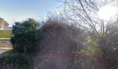 Jean François NEAU Naturopathe, Praticien de Médecine Alternative à Plérin