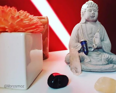 Librosmoz, Praticien de Médecine Alternative à Brétigny-sur-Orge