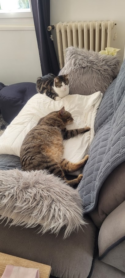 Pierre-ô-énergies / Magnétiseur, Praticien de Médecine Alternative aux Andelys