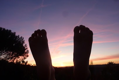 Marie-Julie Azam Réflexologie Plantaire, Réflexologue à Montaigut-sur-Save