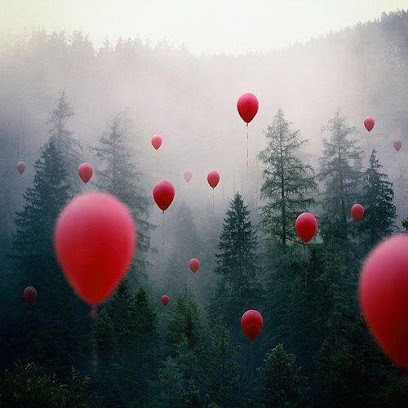 Marie Soto, Praticien de Médecine Alternative à La Grande-Motte