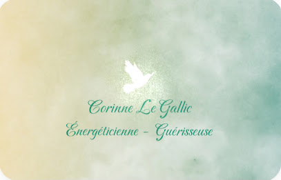 Corinne Le Gallic Énergéticien / Guérisseur / Magnétiseur - Thérapeute Et Enseignant Spirituel - À Vertou Proche De Nantes, Praticien De Médecine Alternative à Vertou