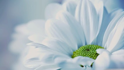 Isabelle SAINT-REMY Sophrologue, Psychothérapie Et Hypnose. Stress, Anxiété, Peurs, Chocs émotionnels, Arrêt Du Tabac. EI., Hypnothérapeute à Chelles