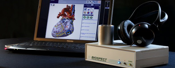 Biorésonance Toulouse Maëlle Papillat, Praticien de Médecine Alternative à Launaguet