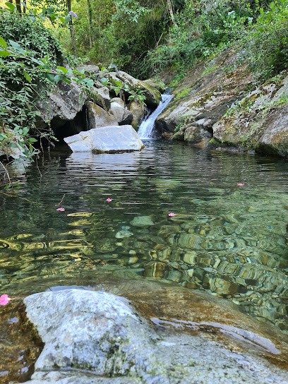 Amélie Dodinet Thérapeute - Chamanisme, Sonothérapie, Soins énergétiques, Cérémonies Du Cacao -Pyrénées Orientales, Praticien de Médecine Alternative à Vernet-les-Bains