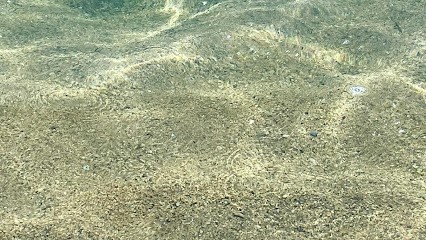 Schaff Isabelle, Hypnothérapeute à Avignon