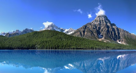 Philippe Dubocage Magnétiseur-Sourcier, Praticien de Médecine Alternative à Château-l'Évêque