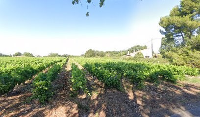 Réflexologie Cécile Villeneuve de la Raho, Réflexologue à Villeneuve-de-la-Raho