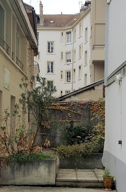 Reale Berengere - C'est Merveilleux - Magnétisme, Bioenergie quantique® & Kinésiologie, Praticien de Médecine Alternative à Grenoble