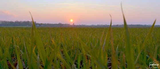 Resse Dominique, Hypnothérapeute à Auzouville-l'Esneval