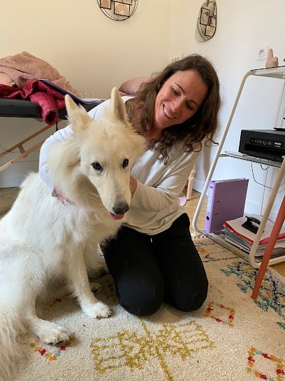 Laure BOSI - Lien2Vie - Thérapie comportementale holistique animal et propriétaire - communication animale., Praticien de Médecine Alternative à Moret-Loing-et-Orvanne