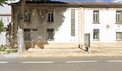 Naturo'Coach VIENNE, Praticien de Médecine Alternative à Vienne