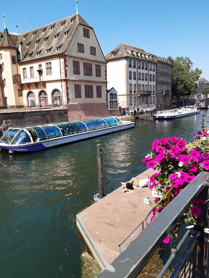 Harmonie & Equilibre, Réflexologue à Villebon-sur-Yvette