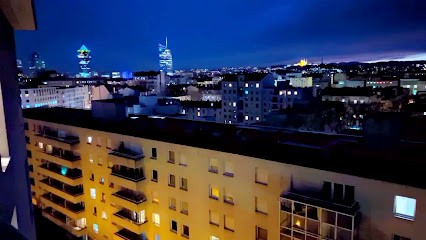 RECONNEXION Axiatonale, Praticien de Médecine Alternative à Villeurbanne