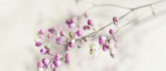 Hypnose Lambersart Lille Basselart Jean-Pierre - Sevrage Tabagique 59 Arrêter De Fumer, Hypnothérapeute à Lambersart