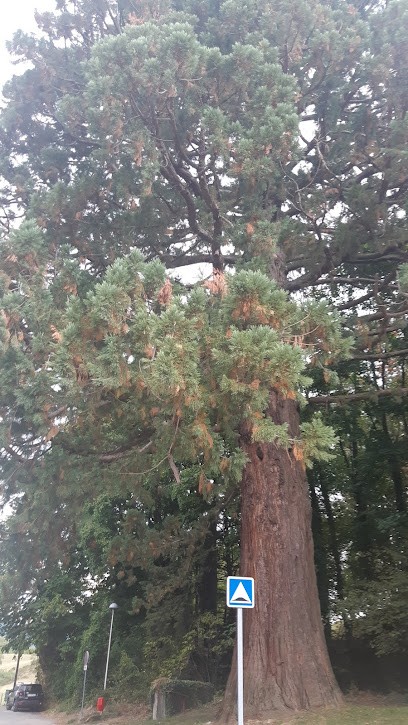 Karima Massot-Pellet, Praticien de Médecine Alternative à Coublevie