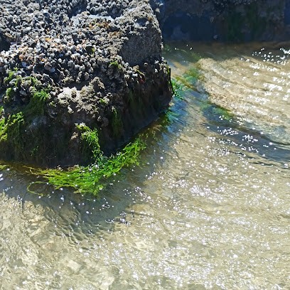 Pascale VILLEGOUREIX, Praticien de Médecine Alternative à Isle