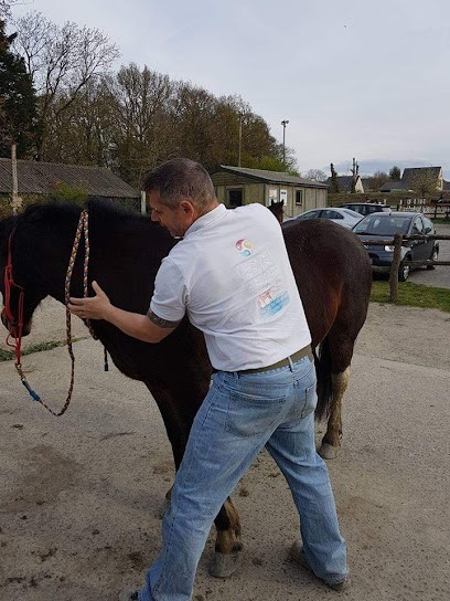 OlivierPonsShiatsu, Praticien de Médecine Alternative à Lamballe