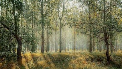 Naturopathe Sandrine Avril, Praticien de Médecine Alternative au Grau-du-Roi