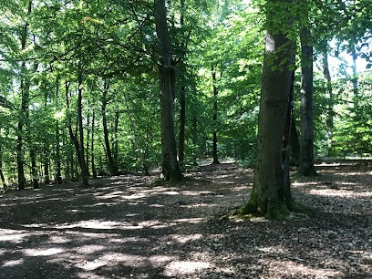 Cabinet De Psychothérapie Frank CAMPIGOTTO, Hypnothérapeute à Puttelange-aux-Lacs
