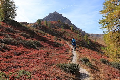 Delphine Tailhandier - Hypnopraticienne, Hypnothérapeute à Bully