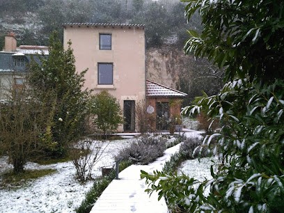 Naturopathe Poitiers, Praticien de Médecine Alternative à Poitiers
