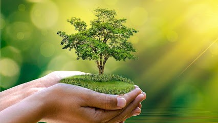 Nature Energie Lumineuse, Praticien de Médecine Alternative à Parthenay