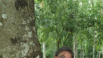 Martine Marchand, Praticien de Médecine Alternative à Montournais