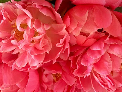 Clarence CAUSSIL, Praticien de Médecine Alternative à Hyères