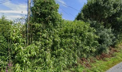 La Bulle d'Emilie, Réflexologue à La Chapelle-Launay