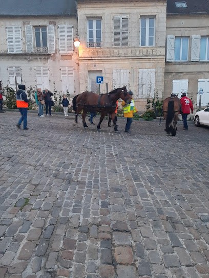 Chrystelle DENEUX, Réflexologue à Agnetz