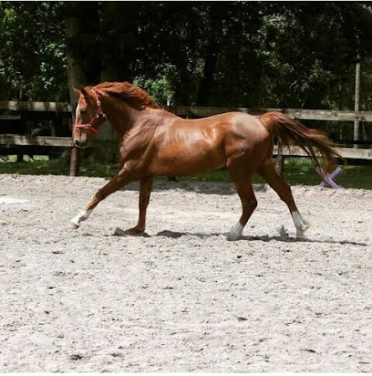 Autour Des Plantes, Praticien de Médecine Alternative à Muhlbach-sur-Bruche