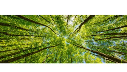 Minon Sandrine - M & Vis Sophro, Praticien de Médecine Alternative aux Achards