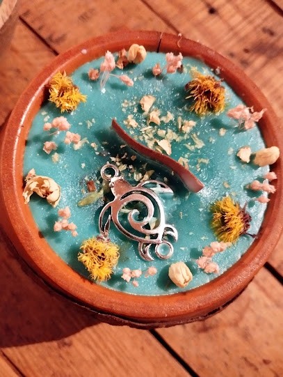 Sauvage Thérapie, Praticien de Médecine Alternative à Saint-Pal-de-Chalencon