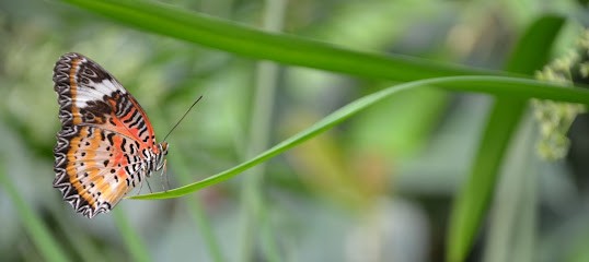 Amélie Even Naturopathe, Praticien de Médecine Alternative à Dreux