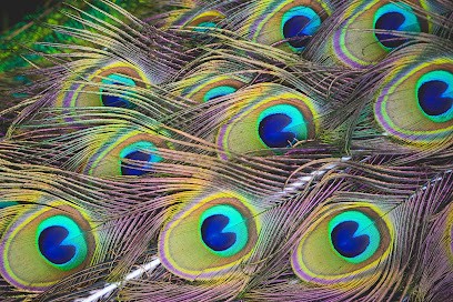 Hypnosis * Life Coaching * Energétique By Carine Audran, Hypnothérapeute à Saint-Félix-de-Lodez